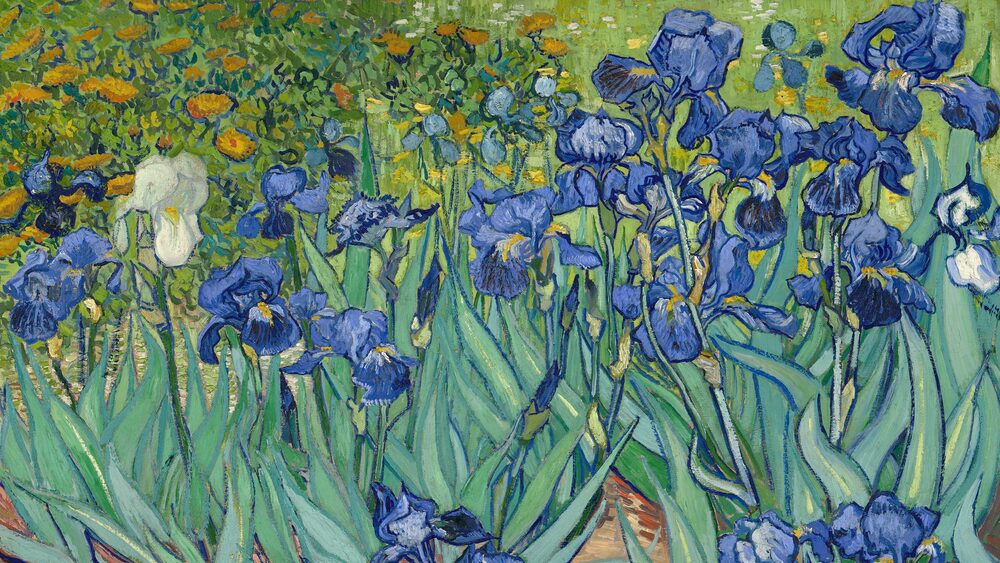 Irises - Van Gogh